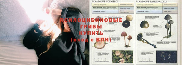 дистиллят марихуана Осташков